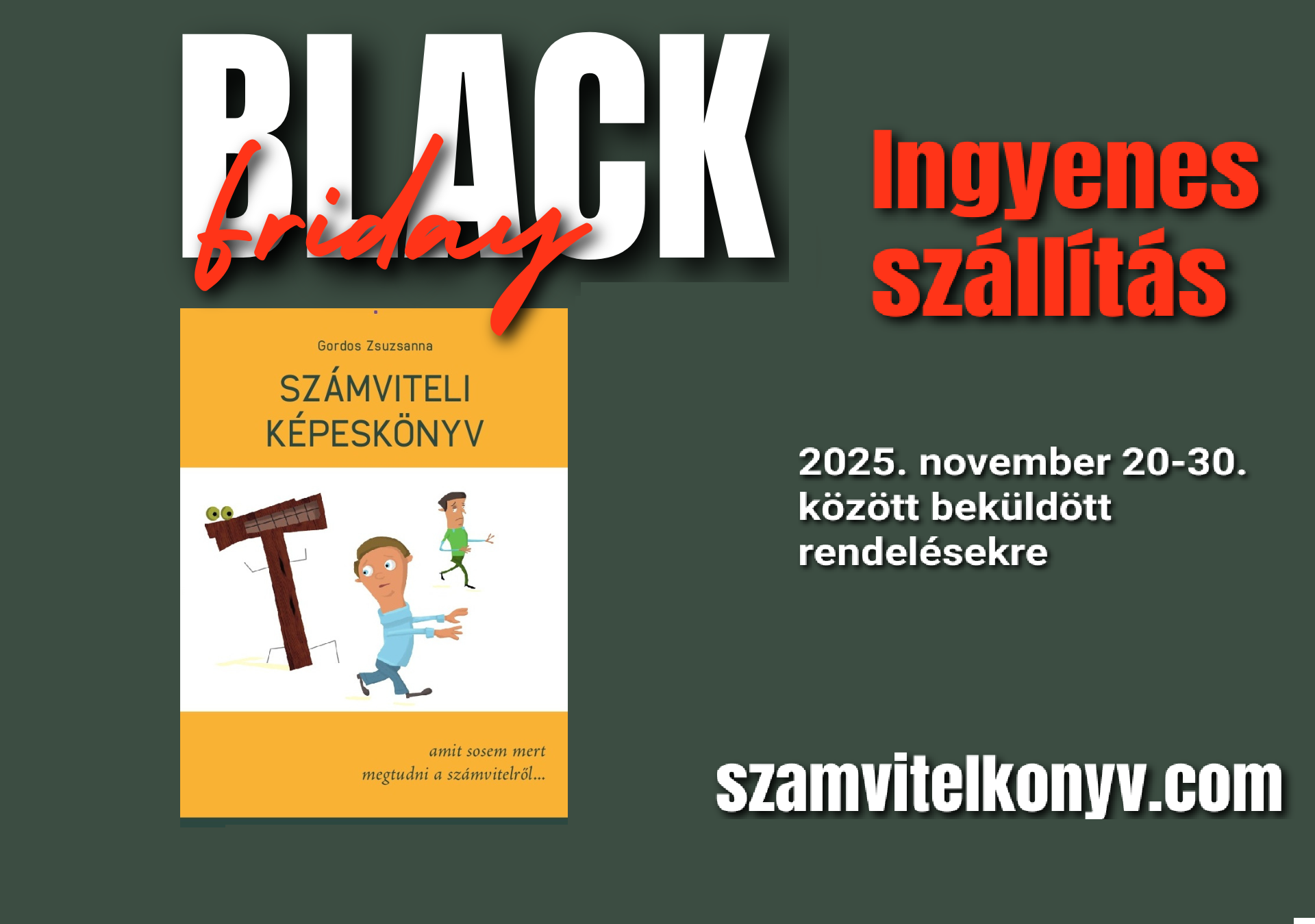 BLACK FRIDAY - Számviteli képeskönyv